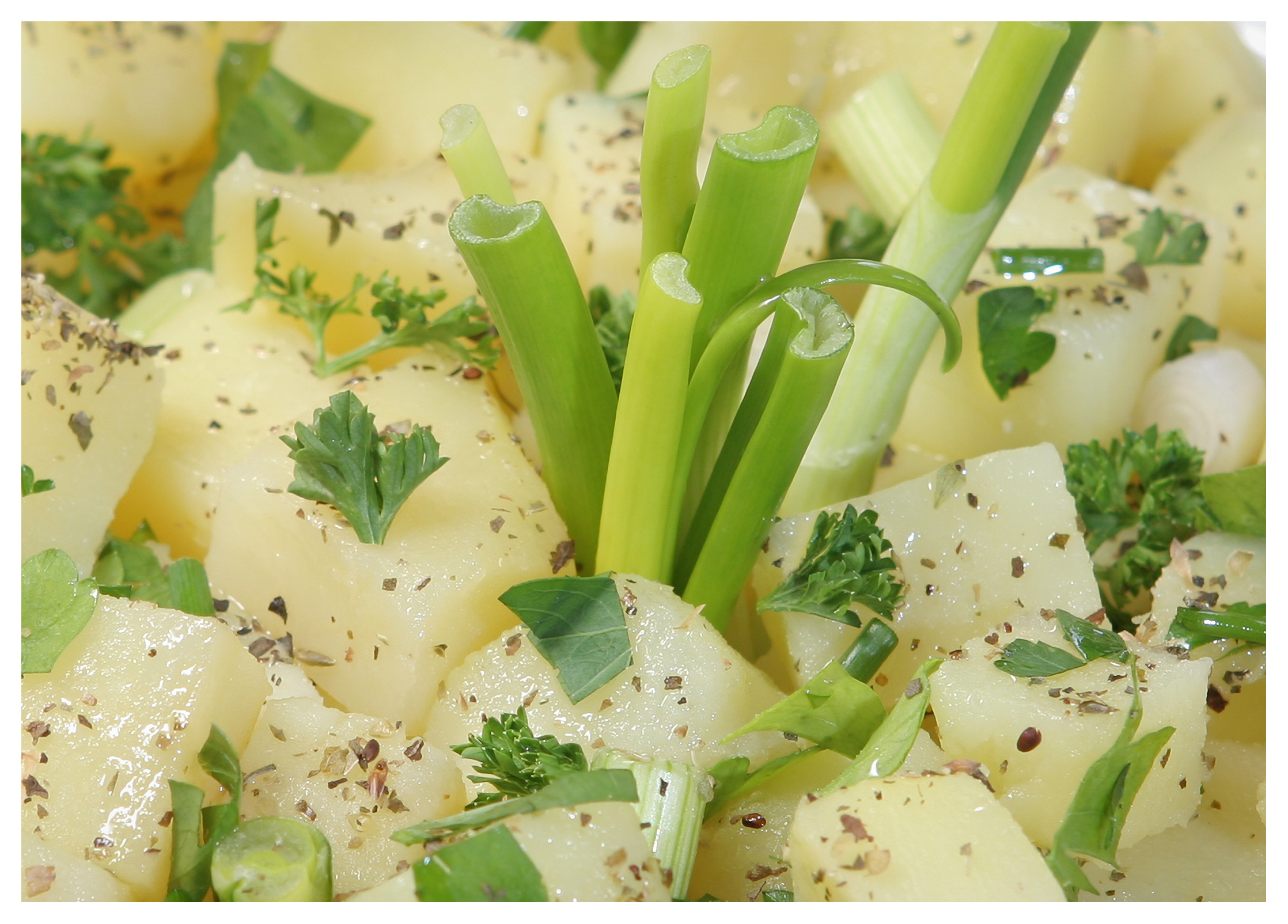 Food photography: Potato salad with fresh parsley and spring onion 